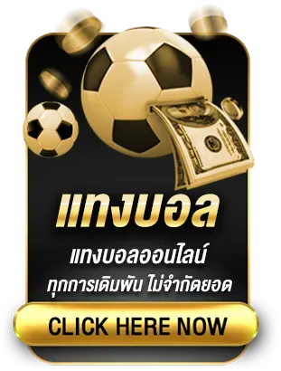 แทงบอล by messi365